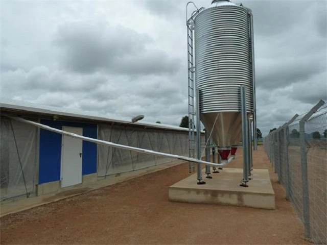 Customzied High quality/High cost performance Steel Structure Chicken House with Equipments