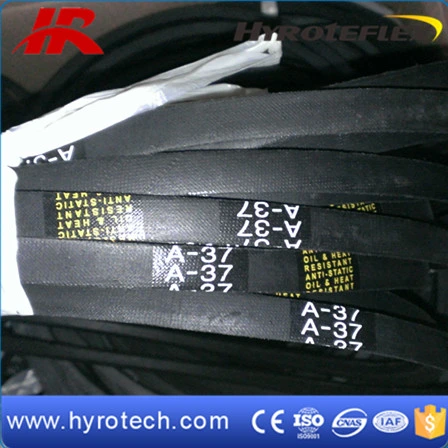 Wrapped V-Belt /Classical V Belts