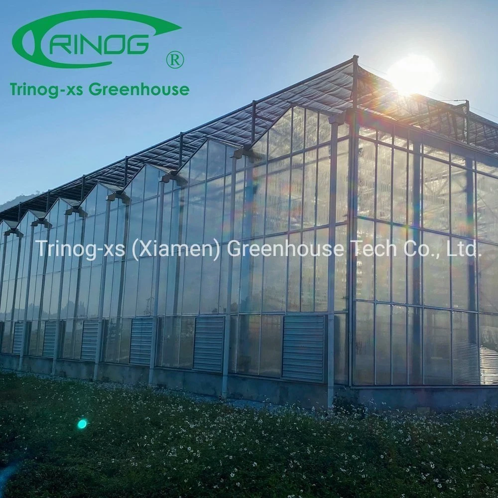 Complete Multi-span Agricultural Galvanized Steel Pipe Structure Glass Greenhouse with Indoor Hydroponic System