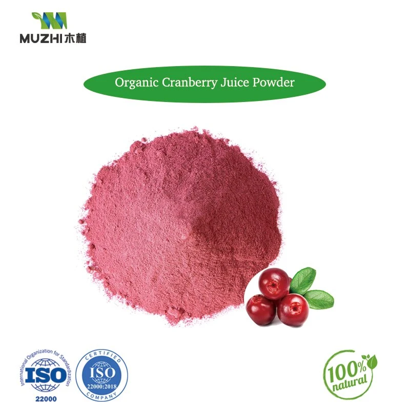 Hot Sale Frozen Fruit Freeze Dry Strawberry Powder Organic