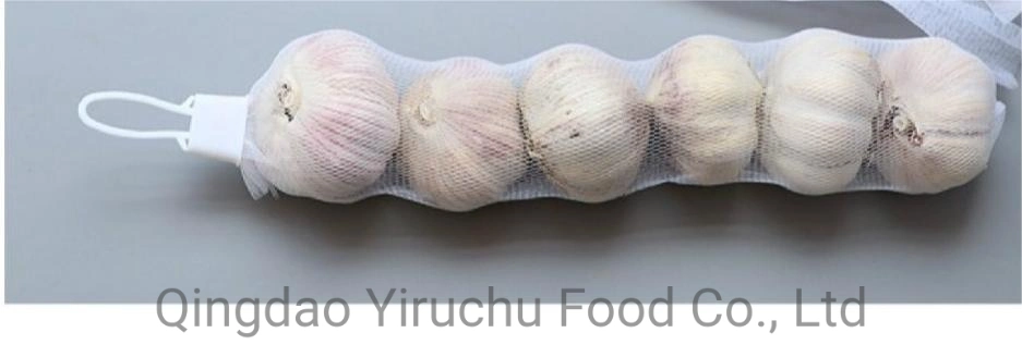 Normal Weiß / reiner weißer Knoblauch Shandong China Herkunft mit niedrigeren Preis