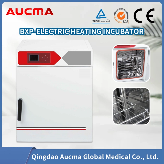 Aucma Manufacturer Price Microorganism Electric Constant Temperature Incubator Made in China with Low Price