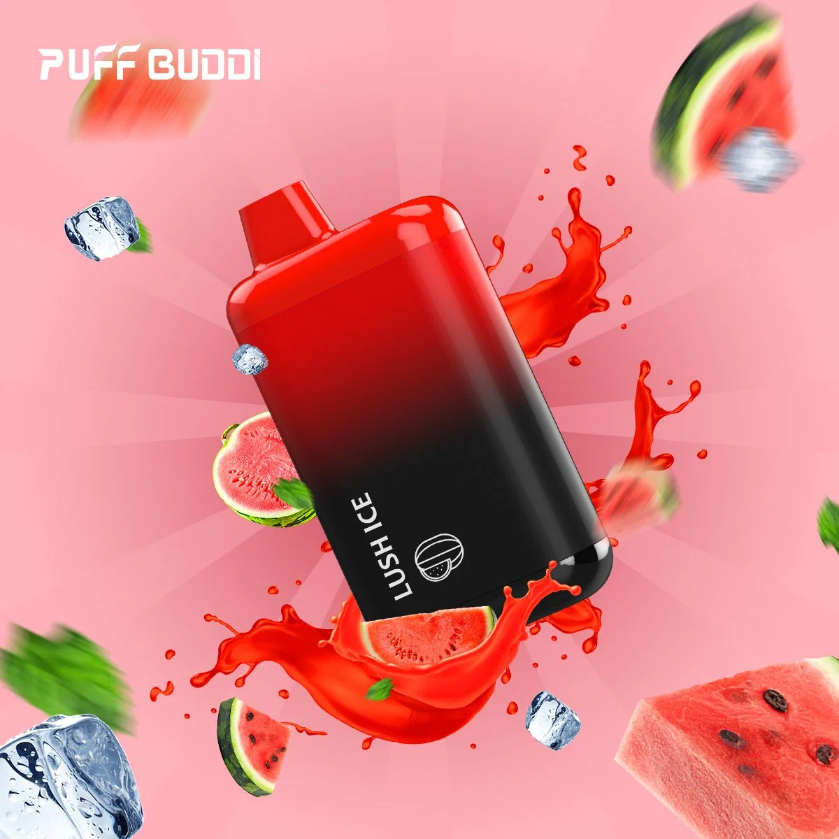 Leafbuddi 2ml OEM Customizable 500mAh 800puffs Disposable/Chargeable Vape Puff Buddi Electronic Cigarette