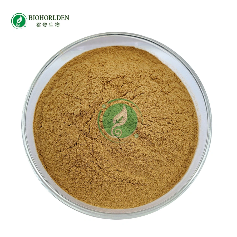 Food Additives Grape Seed Plant Extract OPC 95% Raw Powder Polyphenols 90% Grape Seed Plant Extract