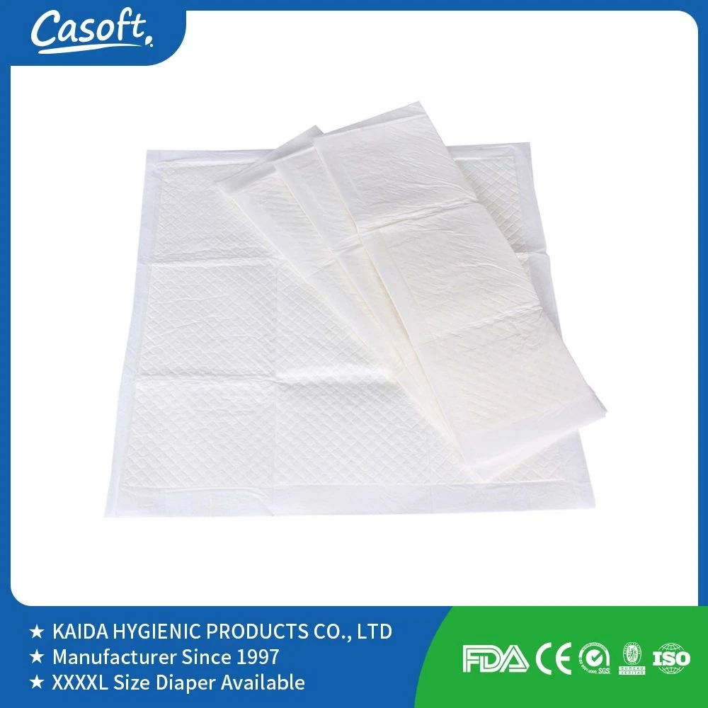 Casoft OEM / ODM Cheap PEE Pad 15g Sap 4 Layer 60X60 Underpad Dog Pad Pet Training Products in Philippines Russia Korea Us Malaysia Peru Chile EU China