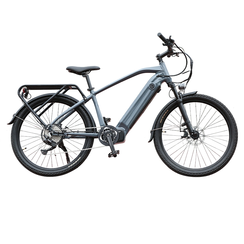 Hochwertige CE-Zulassung 100-240V AC City Cycle Off Road E-Bike