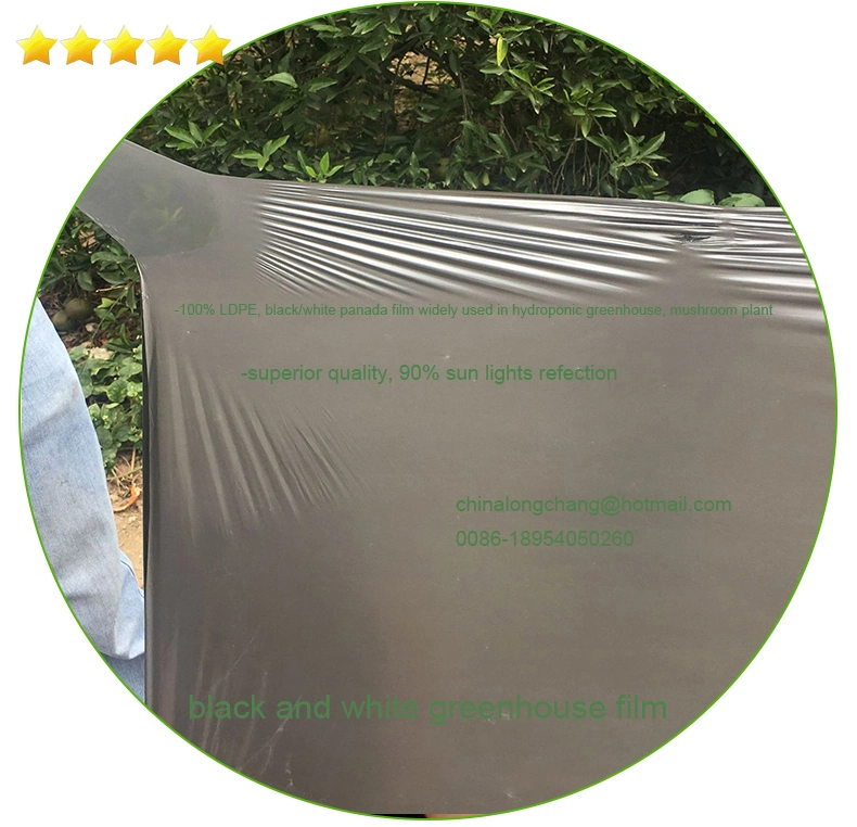 20 25 30 35 40 50 Micron Silver Black Agricultural PE Plastic Mulch Sheets for Prevention Grass Growth