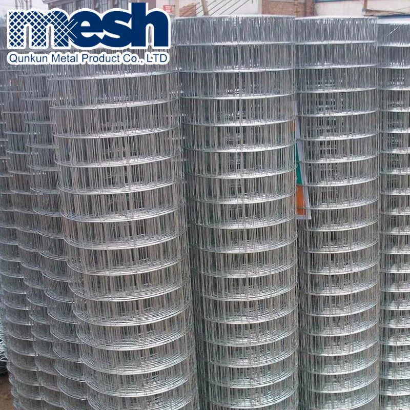 Hot Sale Welded Wire Mesh for Sale