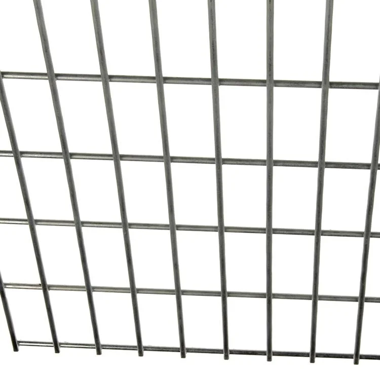 PVC Coated and Galvanized Welded Wire Mesh Roll and Panel Fencer Wire for Animal Mesh Construction Materials