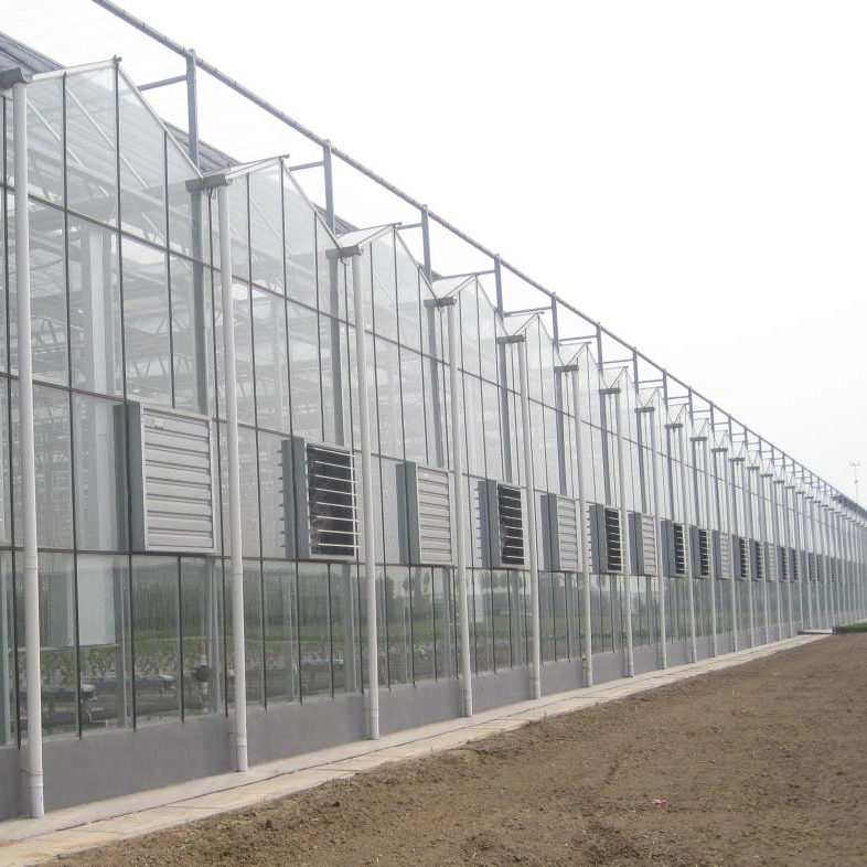 2023 Great Performance Agricultural Glass Greenhouse for Hydroponics Vegetables