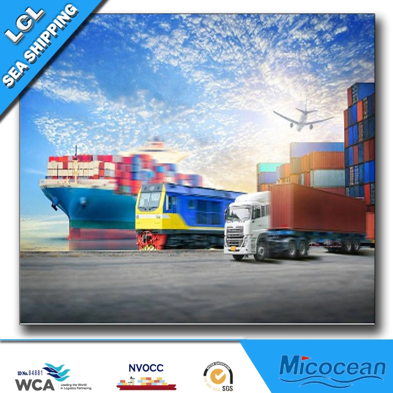 Consolidation Express Sea Shipping From Guangzhou/Shanghai/Shenzhen/Ningbo to Dominican Rep., South America