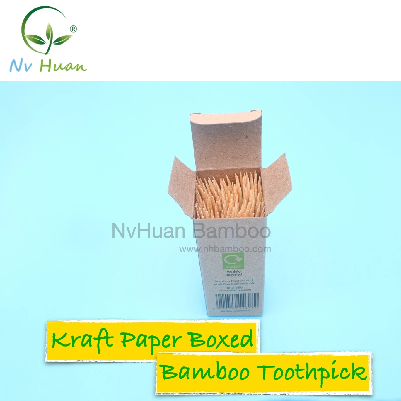 Toothpick with Plastic Cover