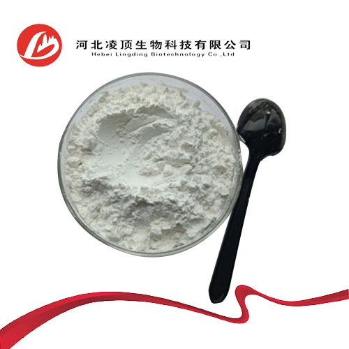 Горячая продажа Xanthan Gum Powder CAS 11138-66-2