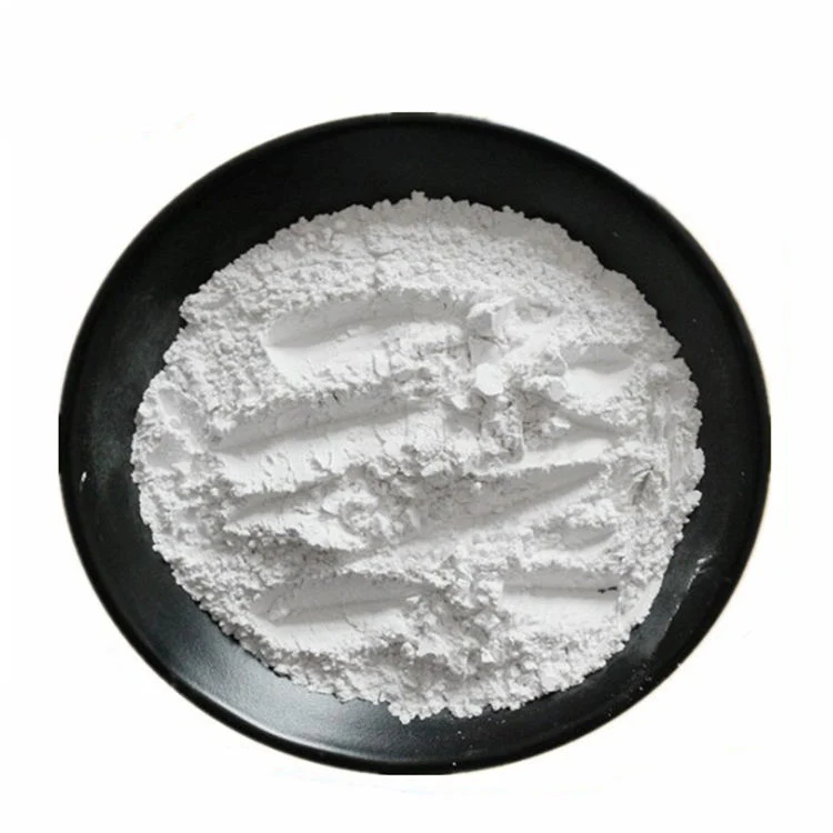 Titanium Dioxide CAS 13463-67-7 TiO2 Powder 98%