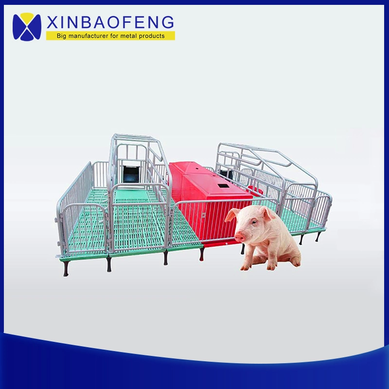 Pig Gestation Equipment