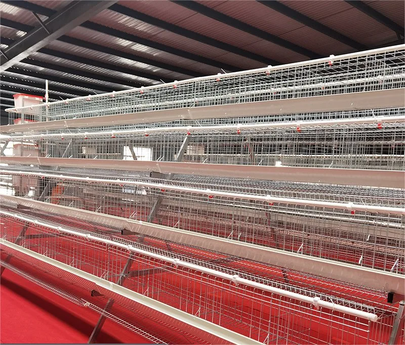 Battery a Type 4 Tiers 5 Doors Raising Cage for Layer Chicken Raising Poultry Farm/Farming Equipment