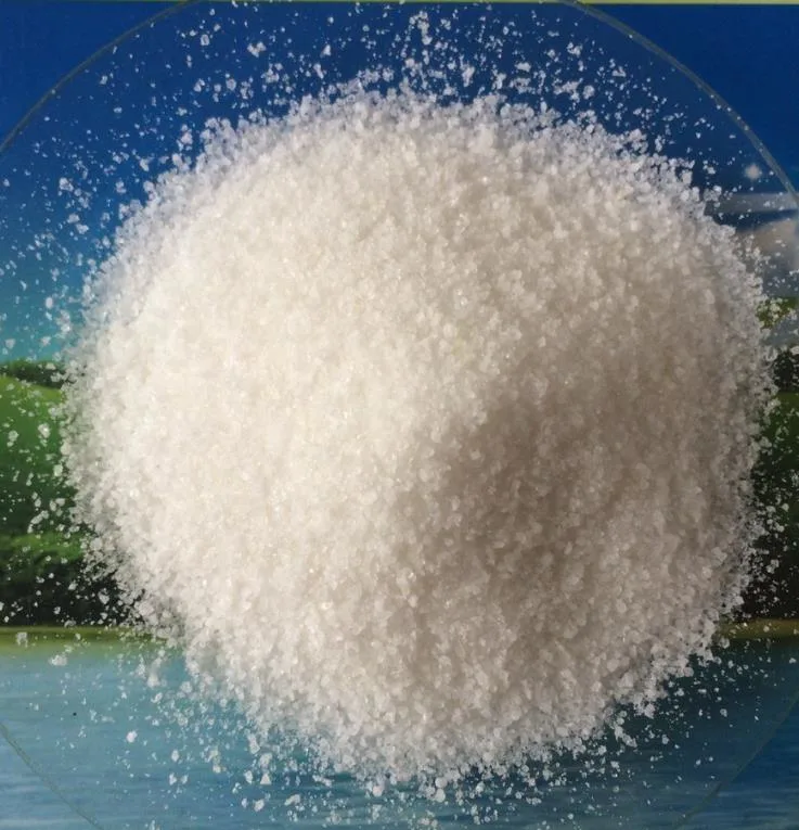 Paper Retention Agent White Powder PAM Waste Water Treatment Polymer