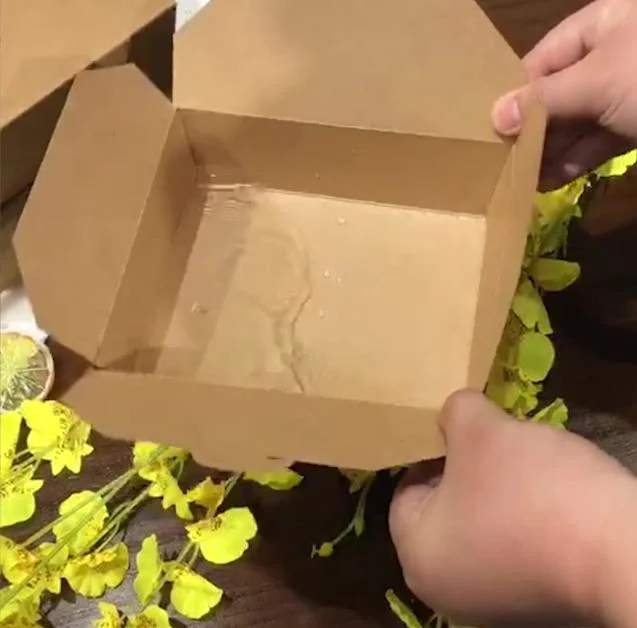 Hiro Biodegradable Lunch Container Food Tray Take out Container Takeway Kraft Paper Food Box