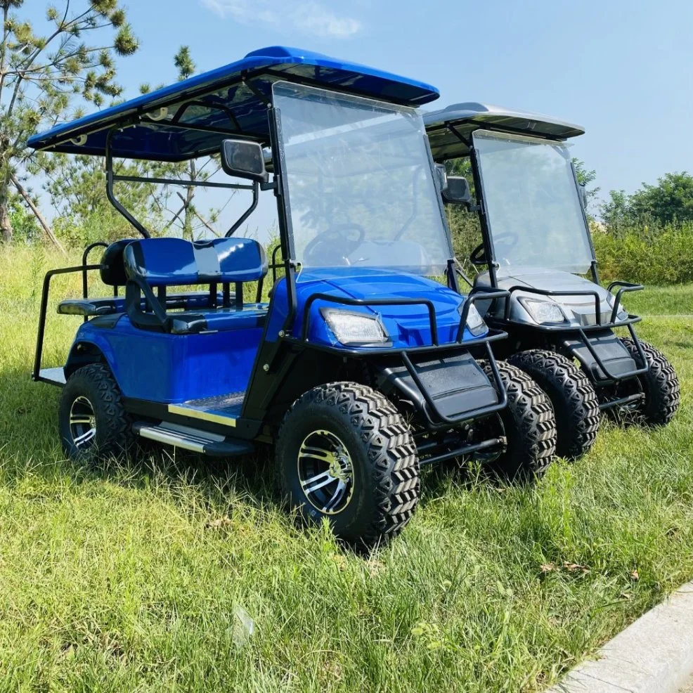 Safety Electric Golf Car with Lithium & Acid Battery for Sale