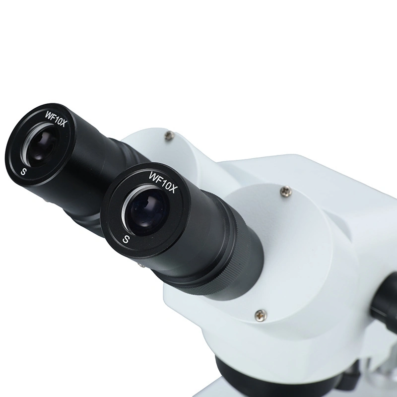 Laboratory Teaching Stereoscopic Low Thickness Working Plate Metal Support Maintenance Microscope