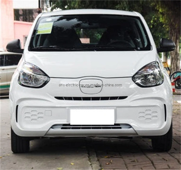 Promotion für Pure Electric Car Clever 2022 311km Vitality Bobo Version