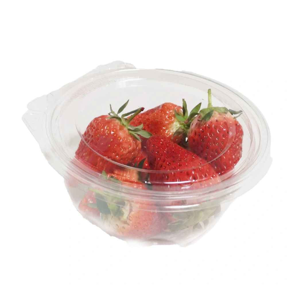 Fruit Salad Disposable Clamshell Clear Packaging Food Delivery Safe Tamper Plastic Salad Containers