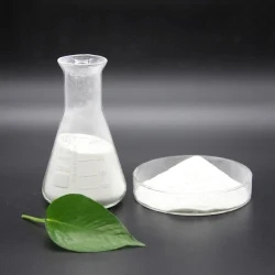 Hydroxypropyl Methylcellulose in Construction Coating Ceramics and Other Industries