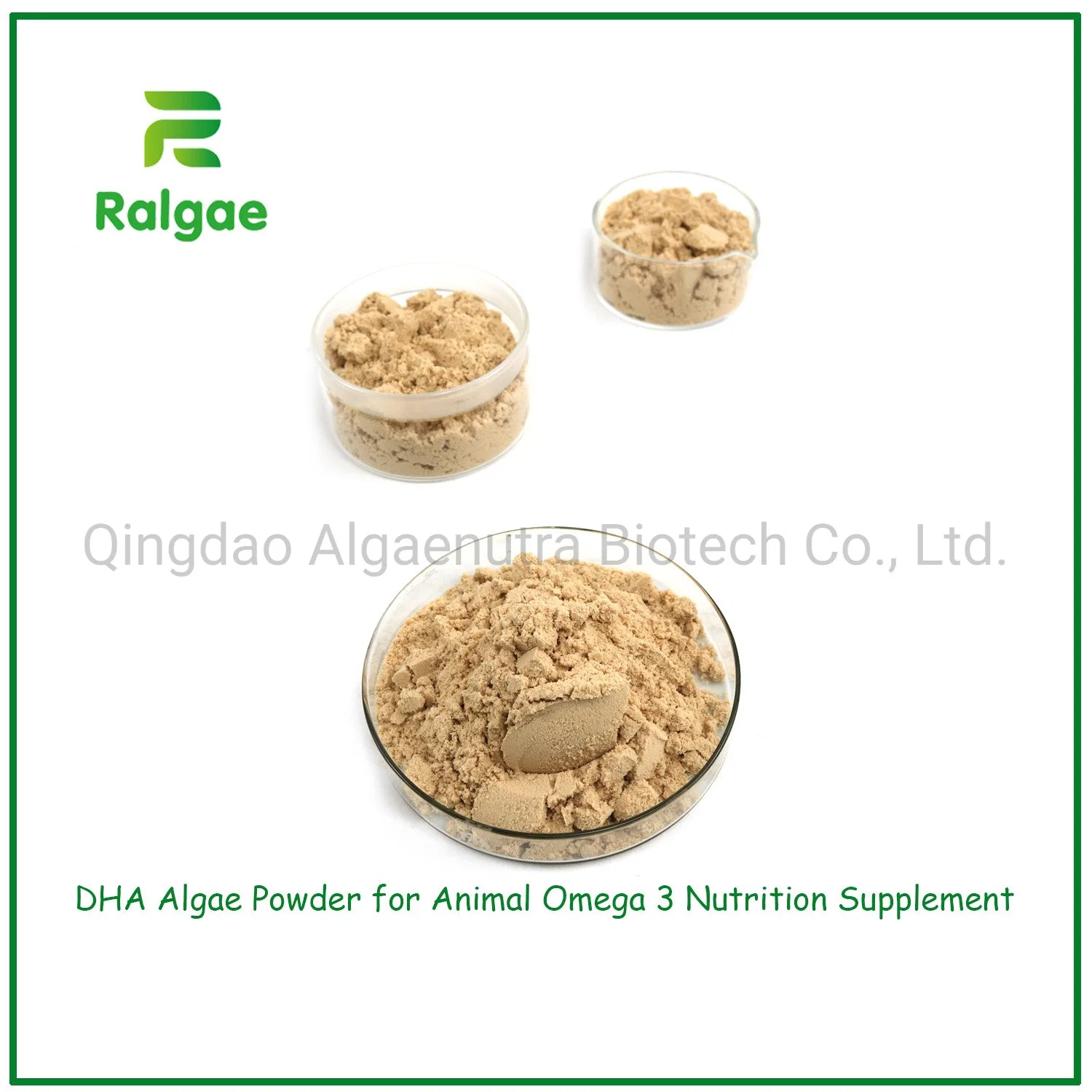 Feed Grade Natural Microalgae Cracked Cell Shizochytrium DHA Algae Powder High DHA for Fish Meal CAS6217-54-5