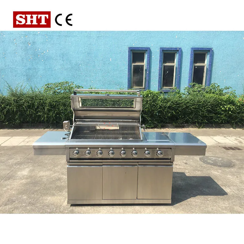 Wholesale/Supplier 304 Stainless Steel BBQ Gas Grill with Galss