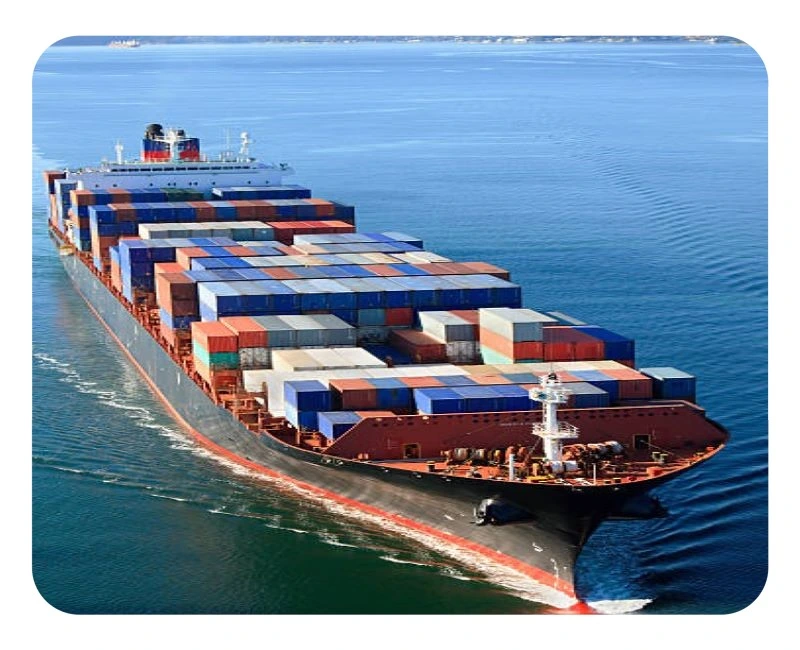 Freight Forwarder Sea Cargo Middle East Shipping Door to Door