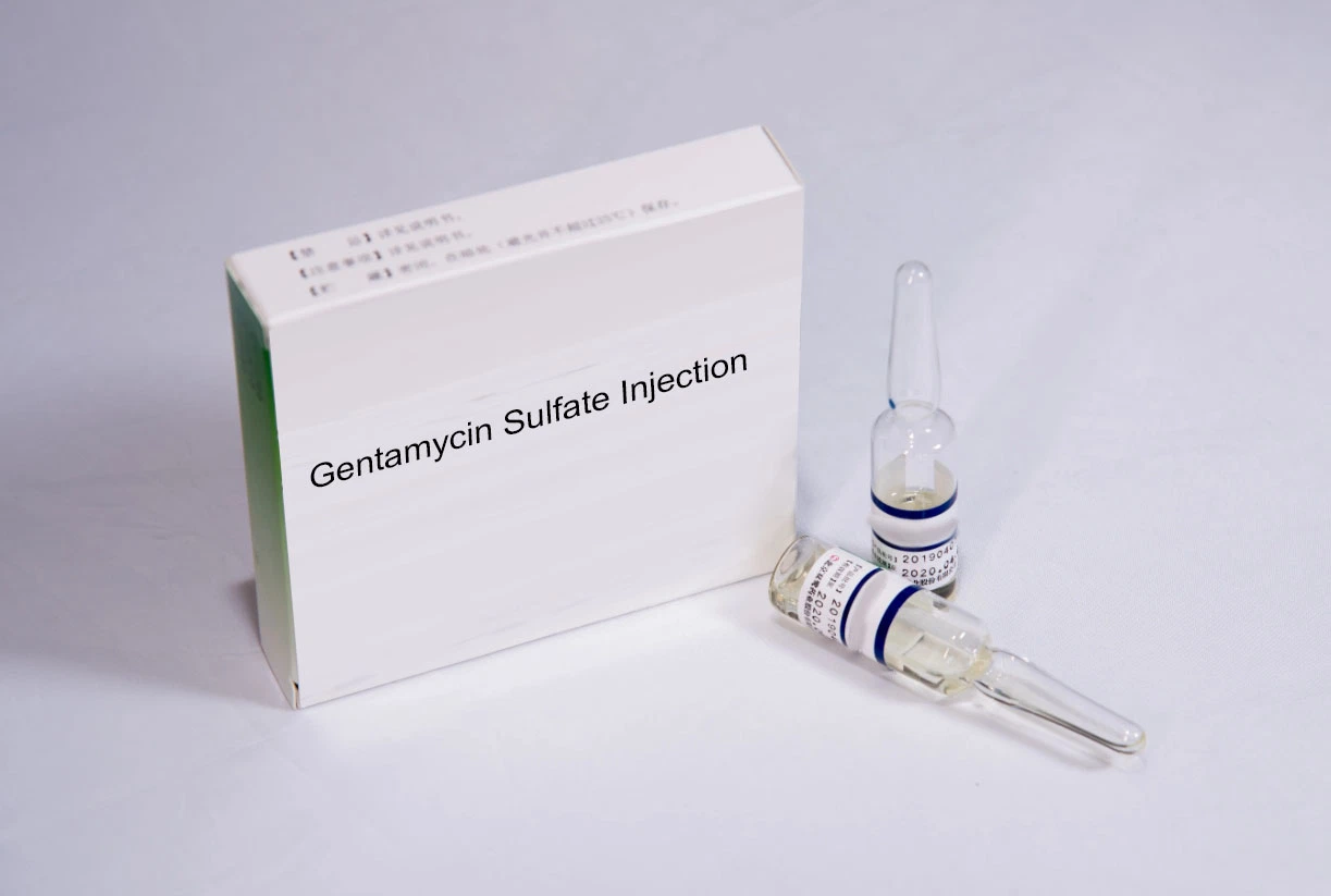 The Factory Wholesale/Supplier Gentamycin Sulfate Injection 2ml