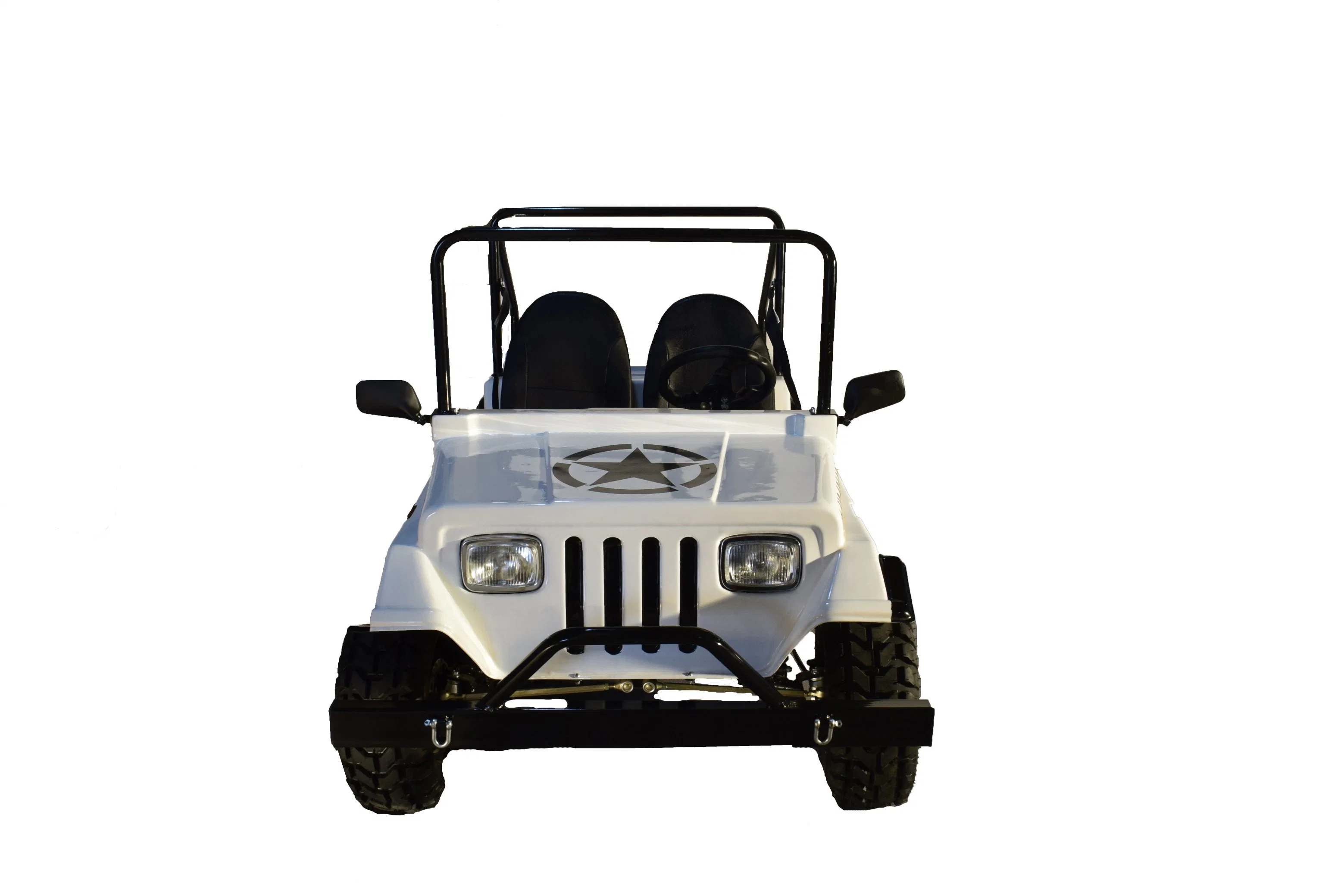 125cc off Road Car Adult Mini Beach ATV Gasoline 2 Seat Golf Cart on Sale