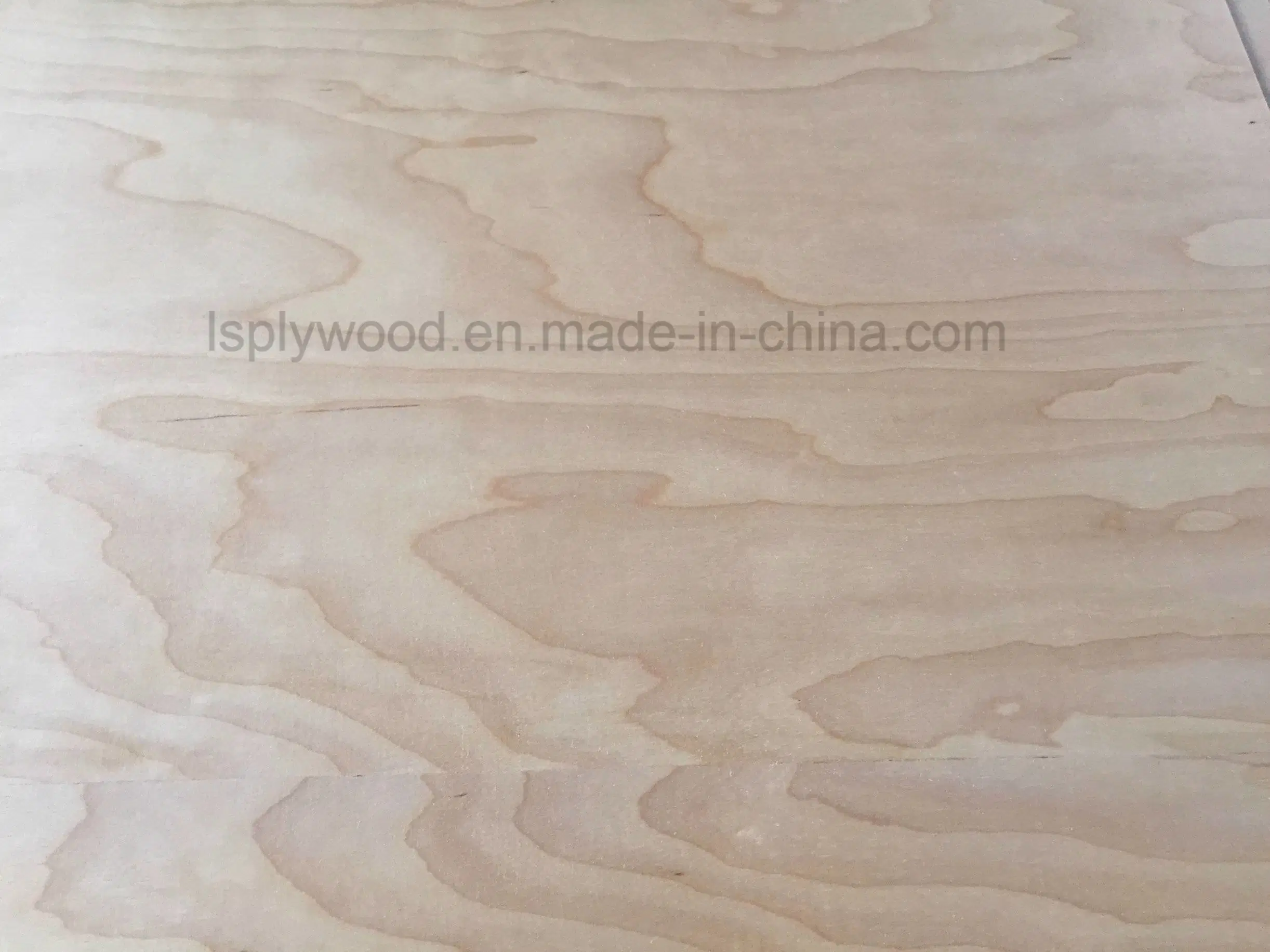 100% Poplar Concrete Mold Plywood Exported From Egypt