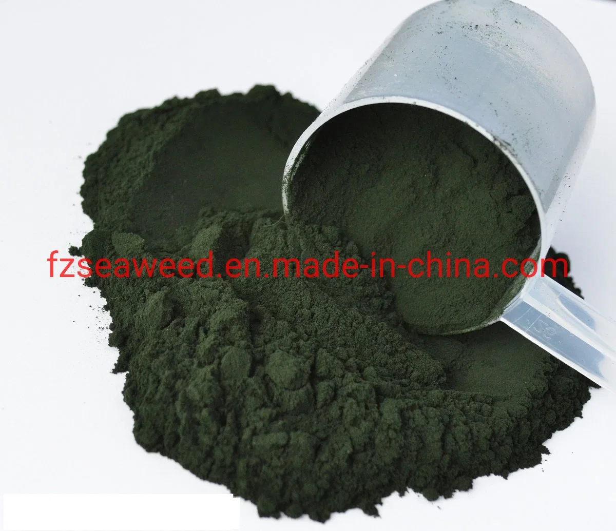 High Protein Natural Green Spirulina Powder for Health