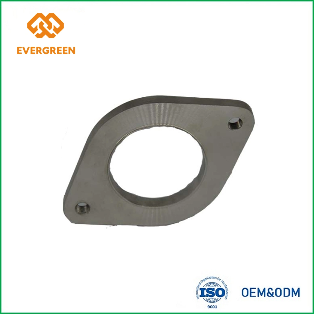 Investment Casting SUS304 Flange