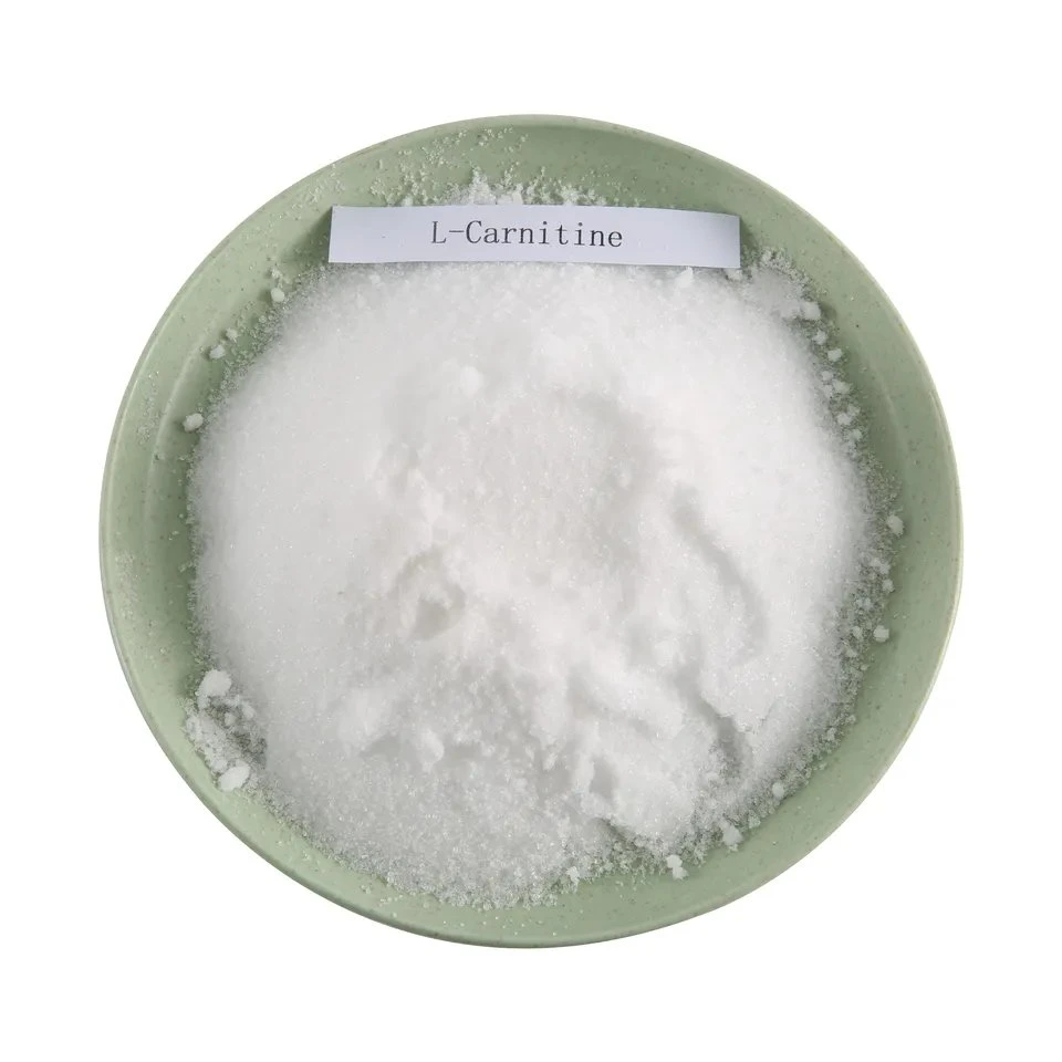 Melhor preço 99% L-base de carnitina Bulk L Carnitine Powder CAS: 6645-46-1 aditivo químico para grau alimentar