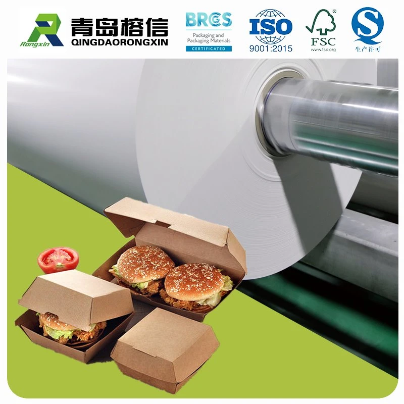 Biodegradable Food Packaging Paper