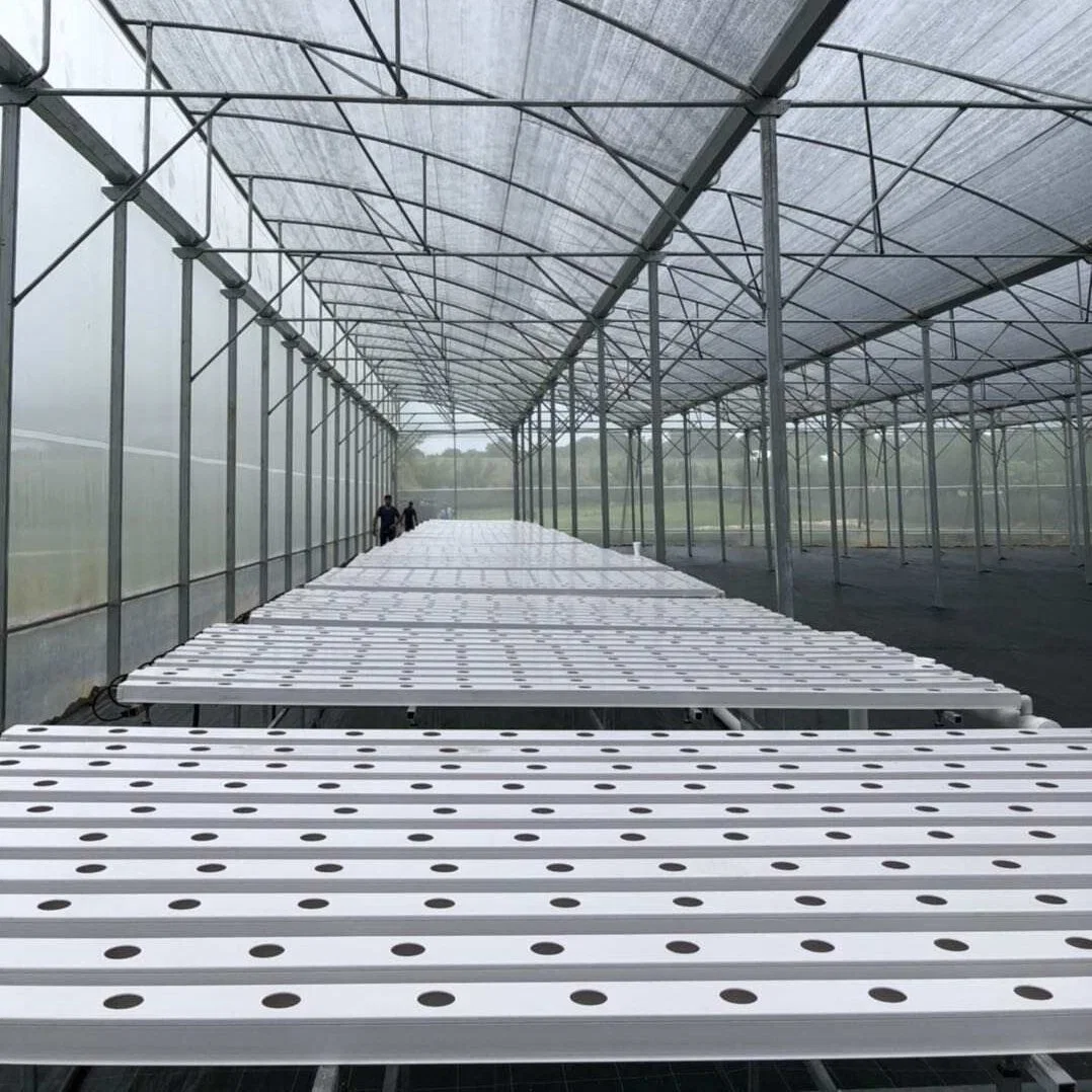 Agriculture verticale NFT Hydroponics système de plantation de laitue en PVC