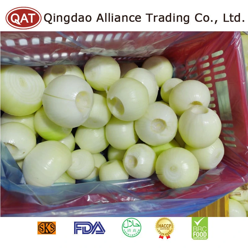 Global Hot Sale Fresh Raw Peeled Onion Ball Green White Onion with 10kgs or 20kgs Bulk Carton