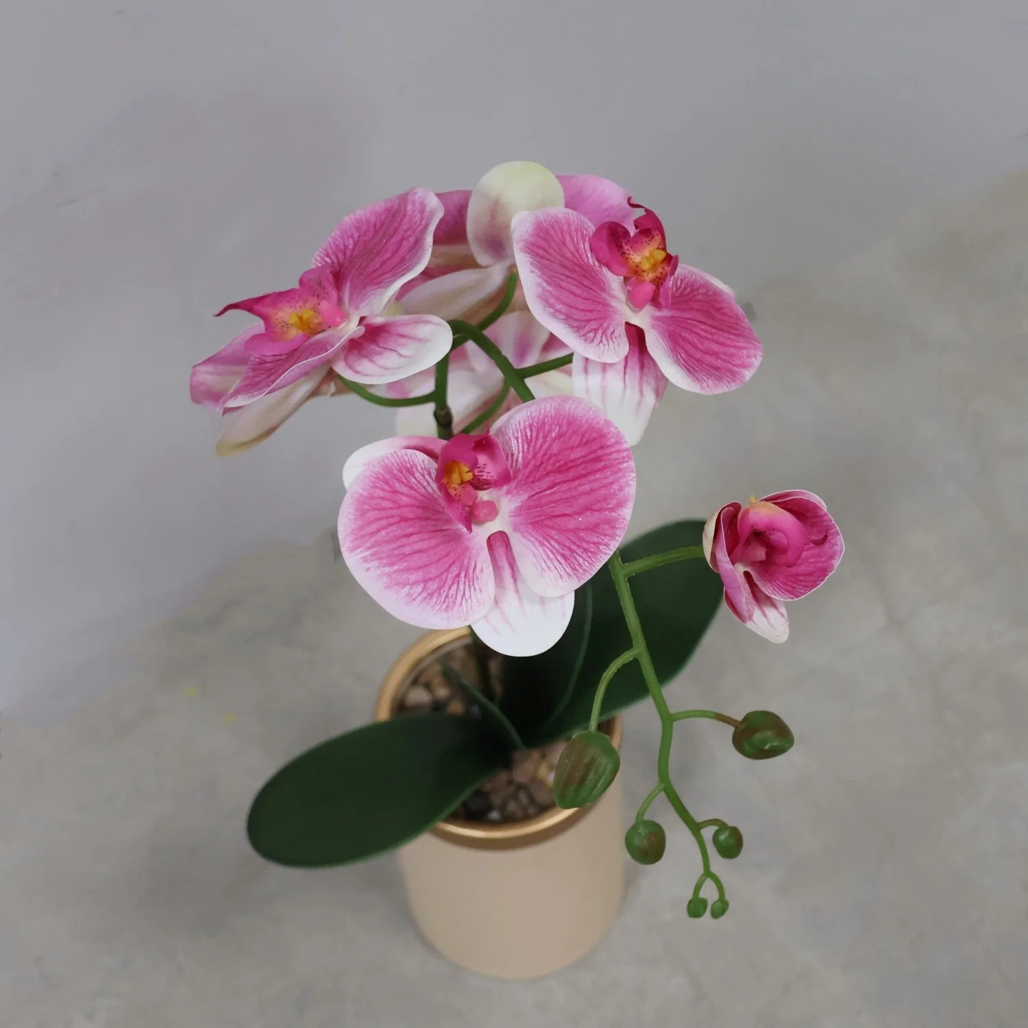 Single Orchid Artificial Flower Plastic Pink Phalaenopsis Silk Flower with High-Quality