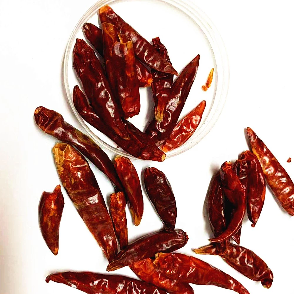 Spices Good High Quality 100% Hot Red Dry Chilli Pepper