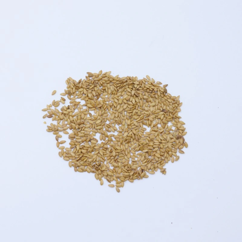 Ya mA Zi tradicional chinês natural ervas medicinais linseed secado Semente de flaxseed