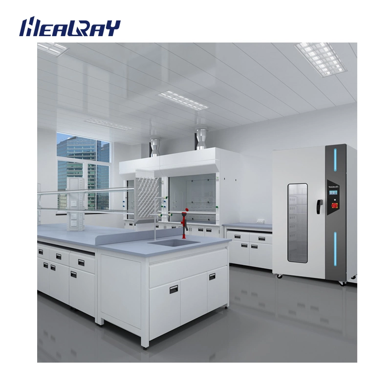 Professional Digital Cabinet Vacuum Drying Oven Laboratory Vacuum Drying Oven