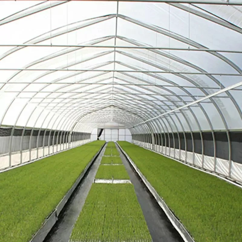 Agricultural Double-Layer Film Greenhouse Vegetable Lettuce, Tomato Greenhouse Hot Steel Frame