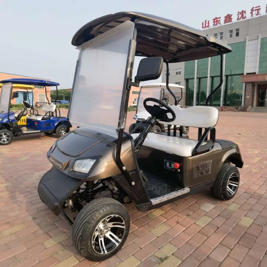 Best Choice of Electric 2 Seat Golf Cart Made in China