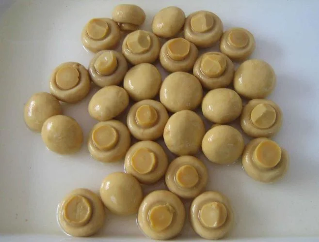 Mushroom Slice Pieces and Stems with High quality/High cost performance  with FDA Certification Canned Mushroom Fungus Food