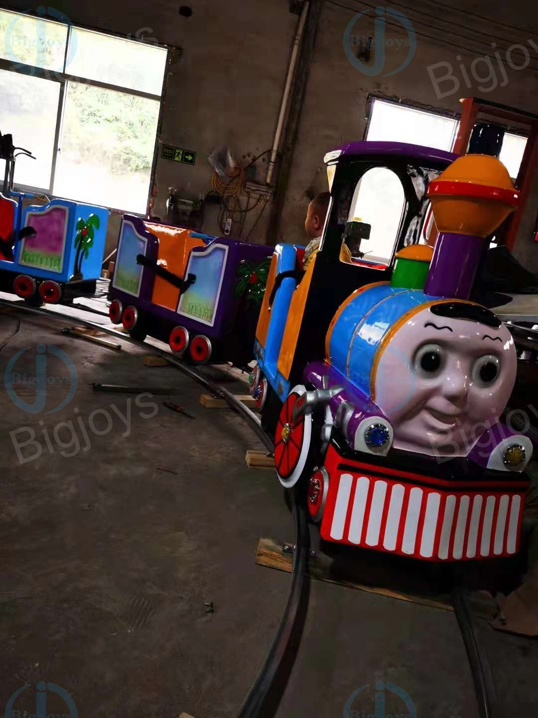 Los niños Electric Amusement paseos en tren Tren Eléctrico pista oval