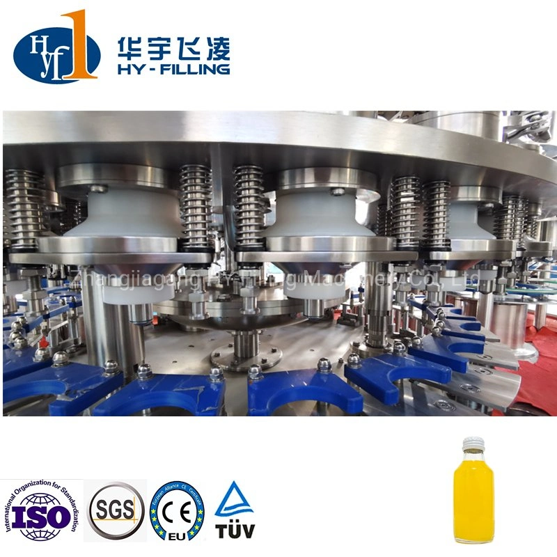 Ropp Cap, Crown Normal Cap, Screw Cap Full Auto Glass Bottle Beverage Juice Dairy Drink Bottling Rinsing Hot Filling Capping Machine Beverage Processing Machine