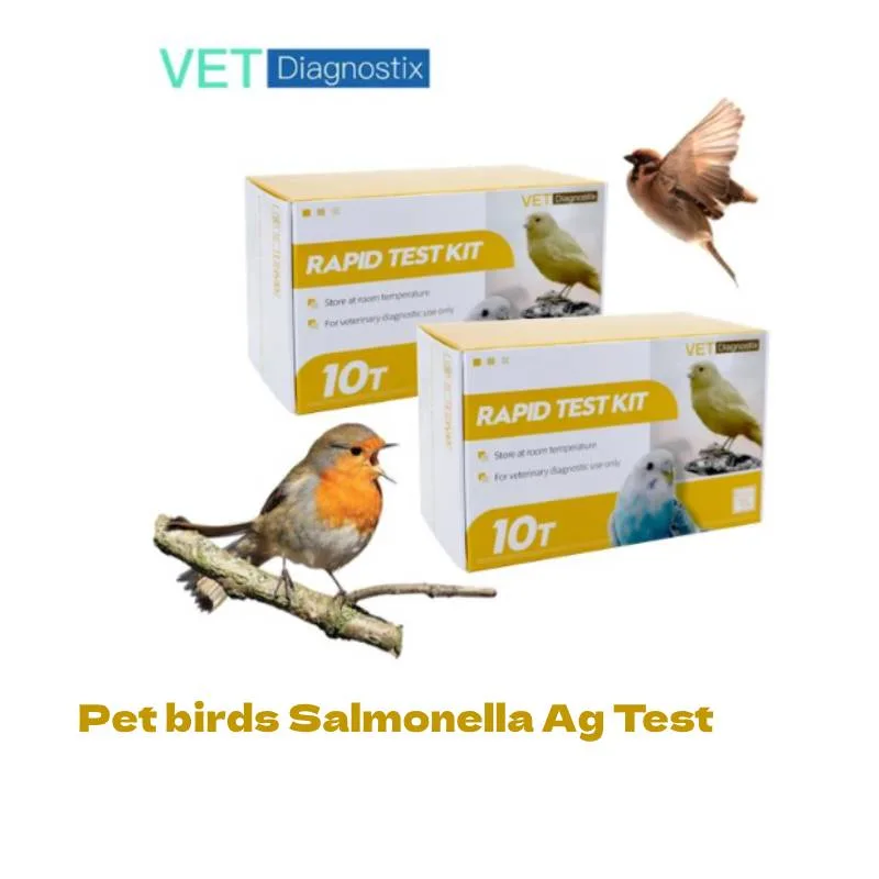 Pet Birds Salmonella Antigen Rapid Test