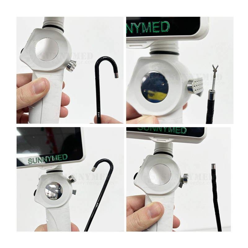 Sy-Wp029-3 Newest Medical Ent Endoscopy Portable Recording Video Flexible Endoscope with 3.5"TFT LCD Screen